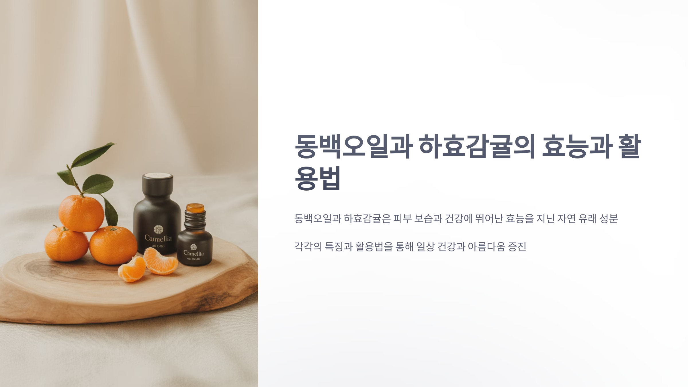 참조-동백오일,-하효감귤-1