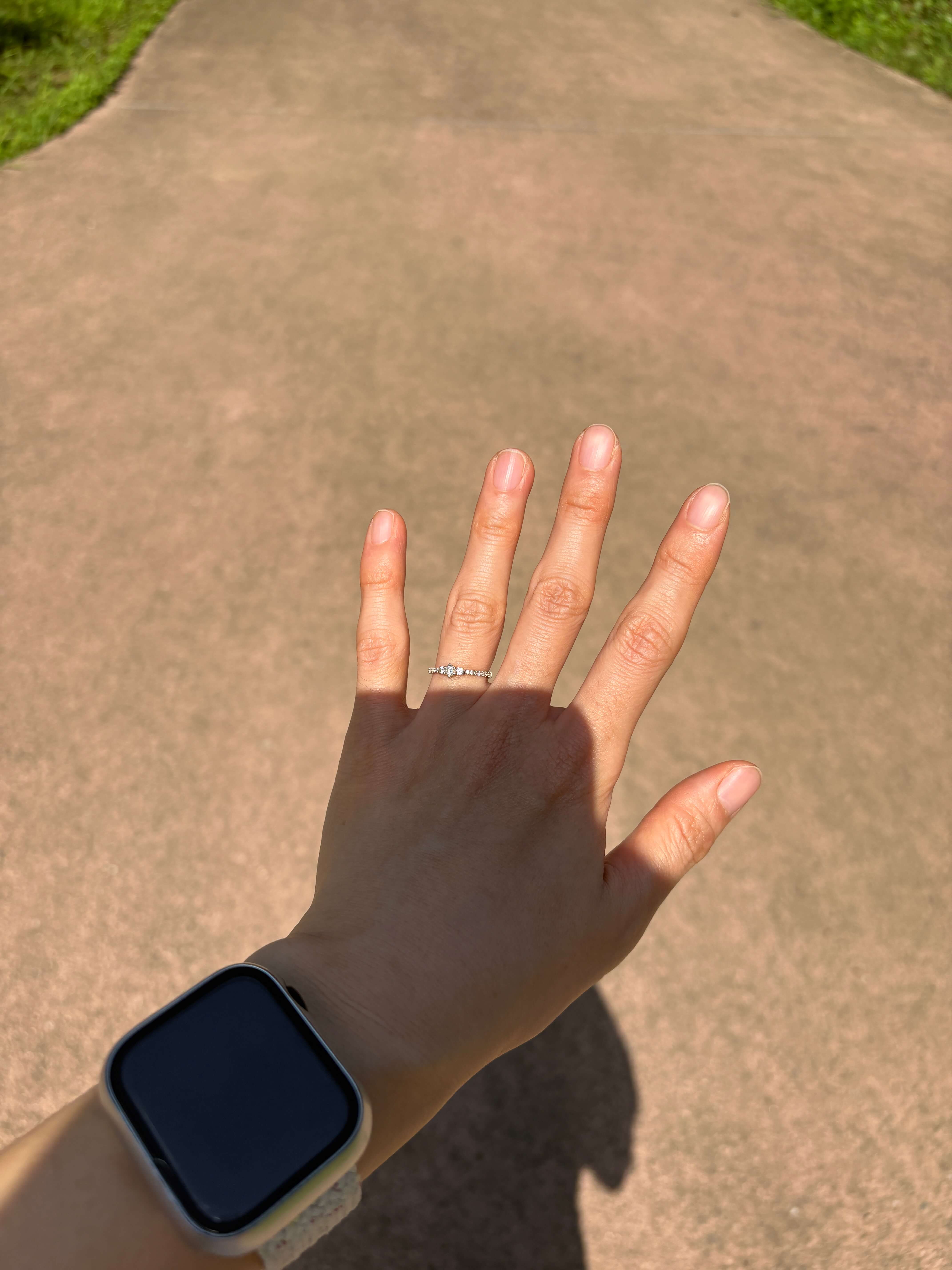 손을 소개해볼까