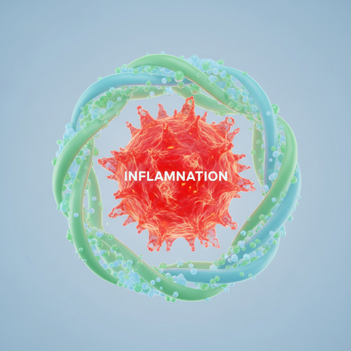 대마종자유가 만성 염증을 잡는 강력한 메커니즘