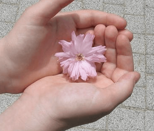 새 정부 정책 공약