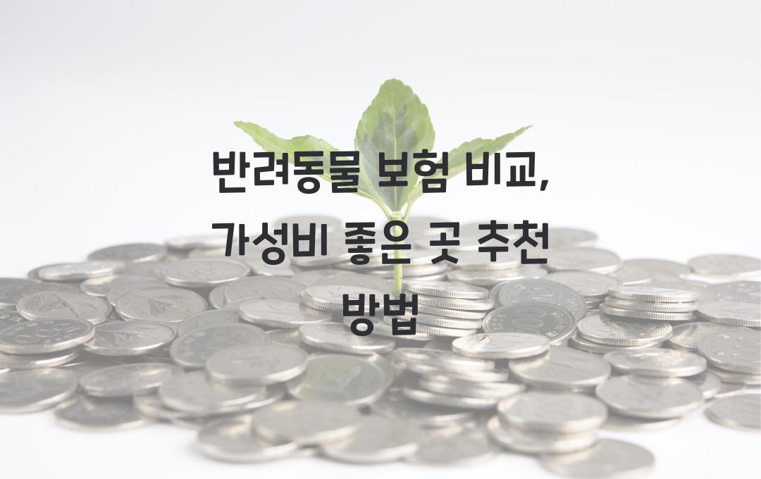 반려동물 보험 비교, 가성비 좋은 곳은?