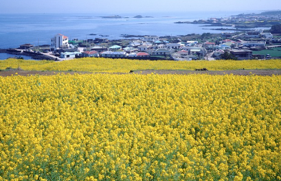 드라마 <우리들의 블루스>가 전하는 삶과 치유의 메시지 분석