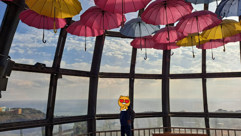 제주여행_여미지식물원