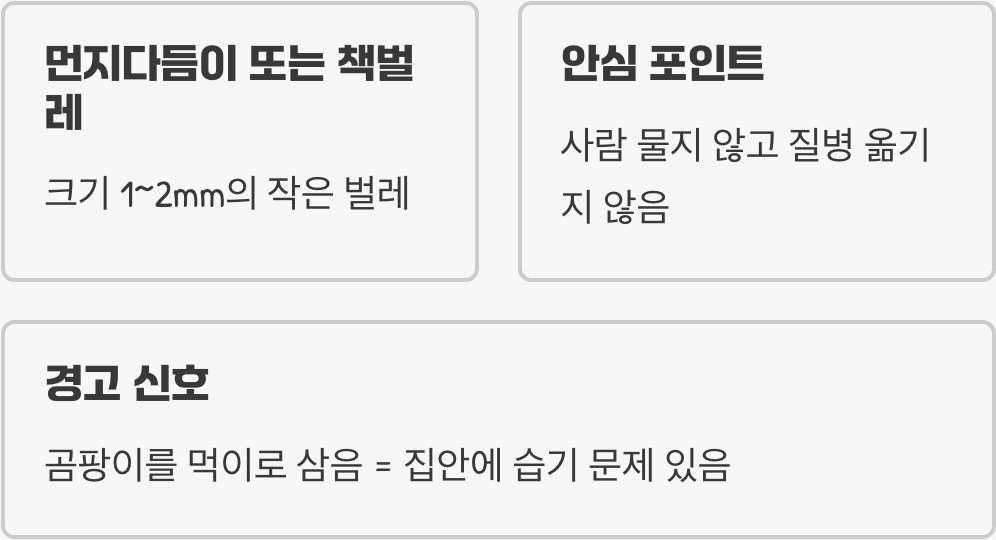 이 ‘흰벌레’의 진짜 정체는?