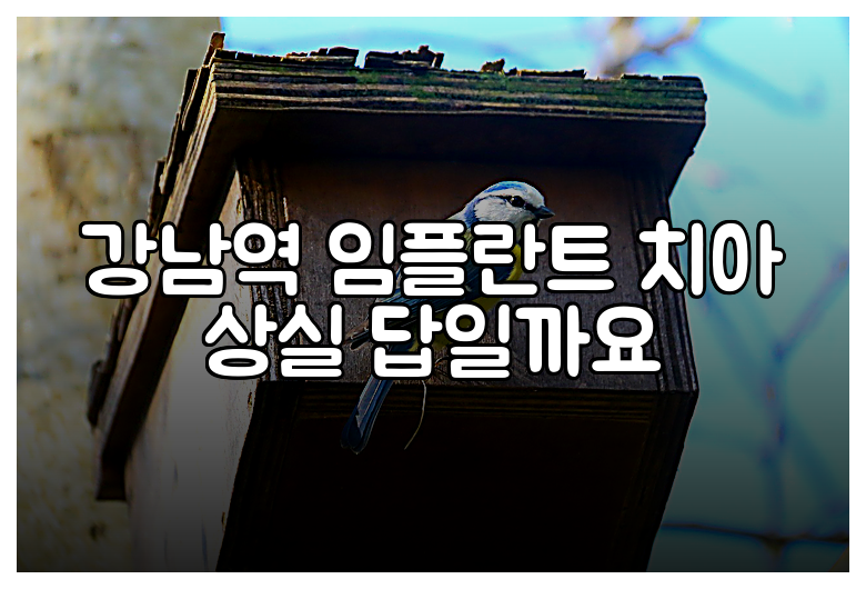 강남역 임플란트 치아 상실 답일까요