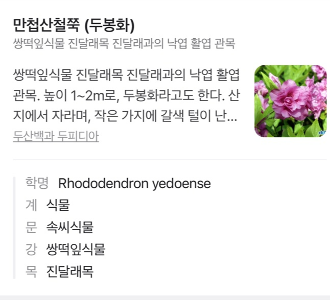 Alt 속성 문제 해결 설명 이미지