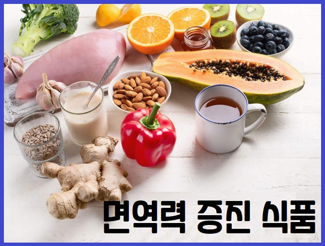 면역력 증진 식품