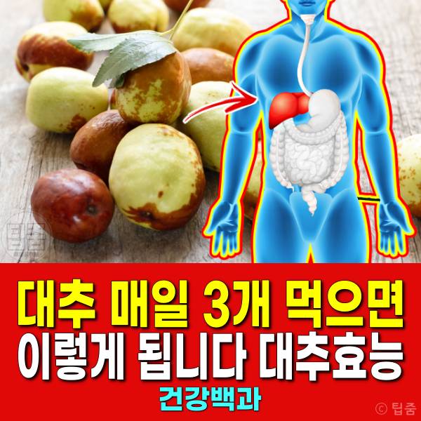 대추 매일 먹으면 3개 대추효능