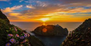 울릉도 배편 예약