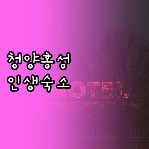 직접 고른 충남 청양 홍성 깨끗한 숙..