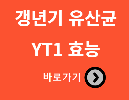 갱년기 유산균