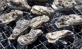 6시내고향 사천 굴구이 순애민박 위치 예약 꿀팁 대공개