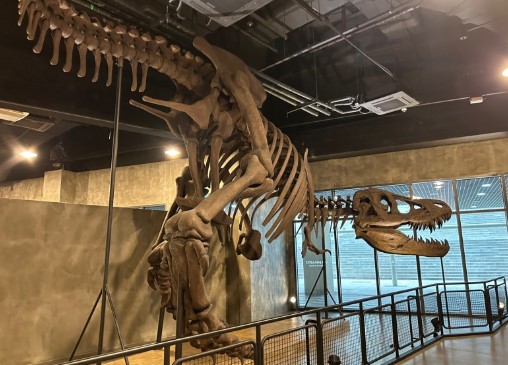 워너두 칠드런스 뮤지엄(6)