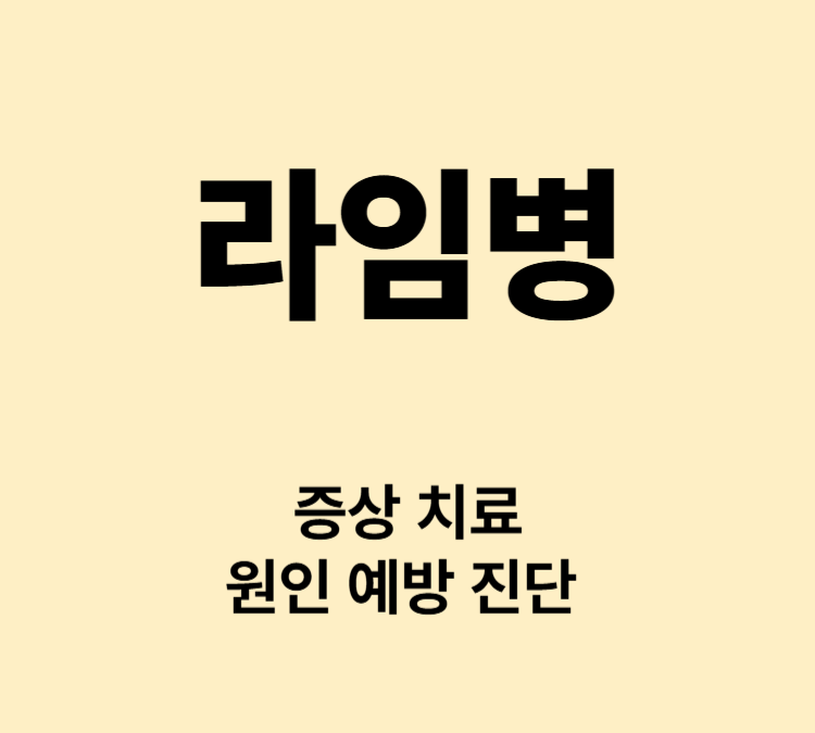 진드기감염 발진 독감 증상 라임병 치료