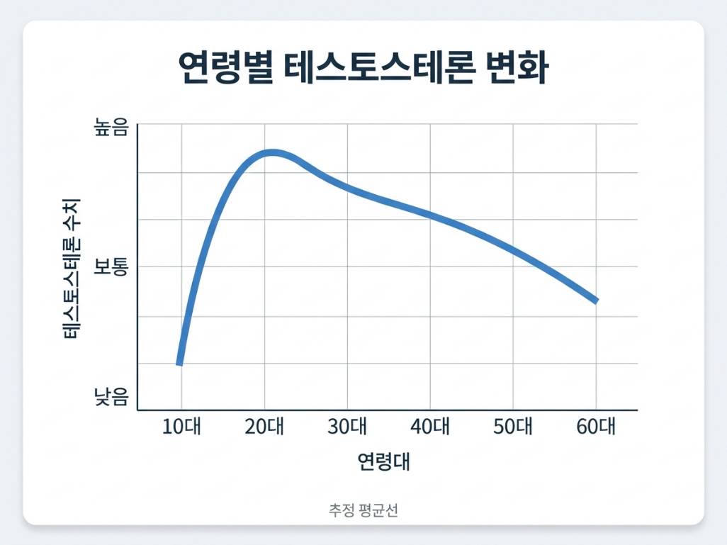 연령대별 테스토스테론 수치 변화를 나타낸 그래프