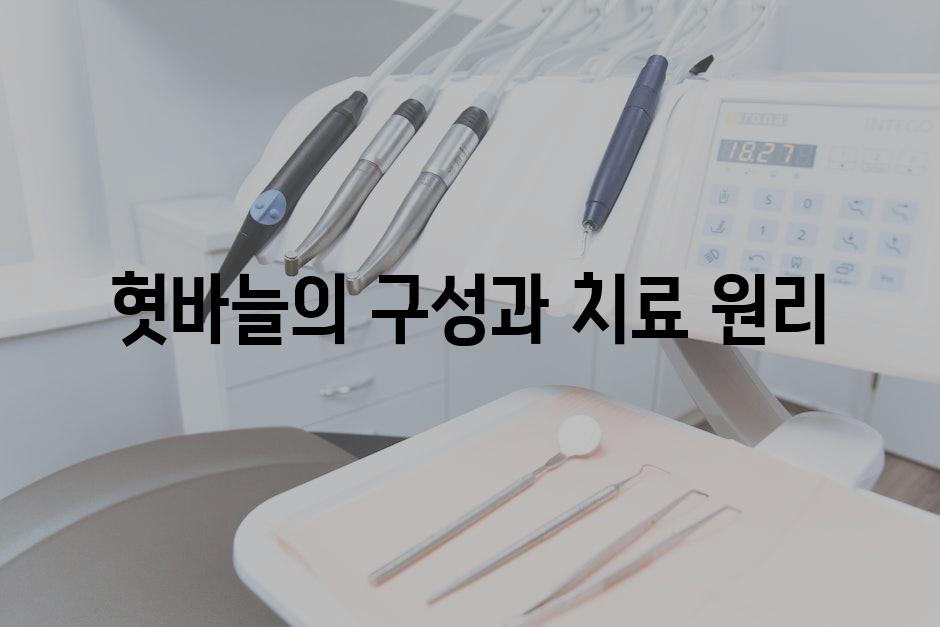 혓바늘의 구성과 치료 원리