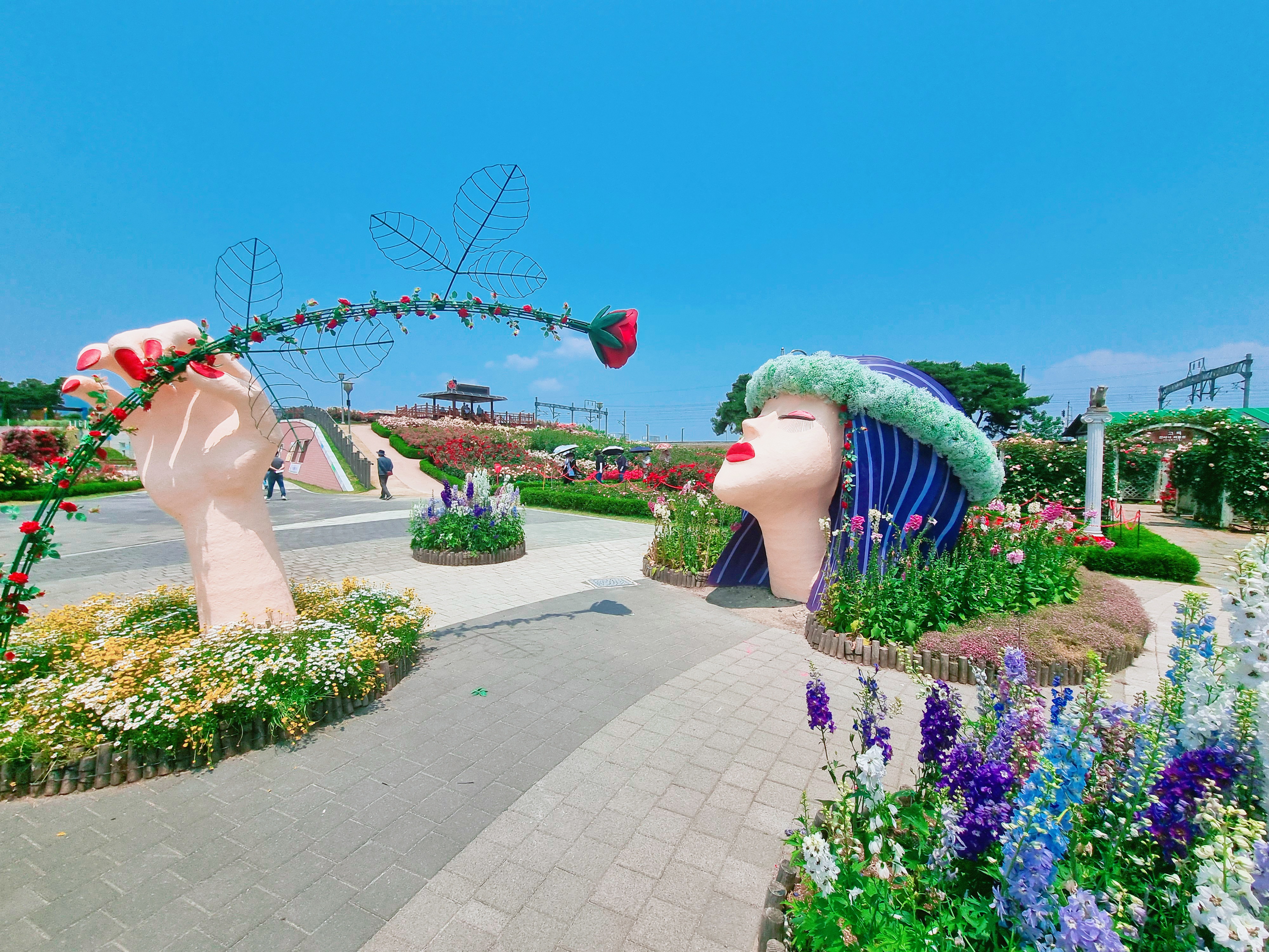 곡성 기차마을 장미공원 사진