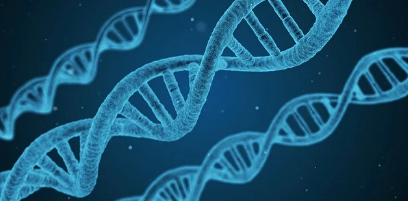 의료급여 수급자를 위한 요양비 지원 제도 총정리