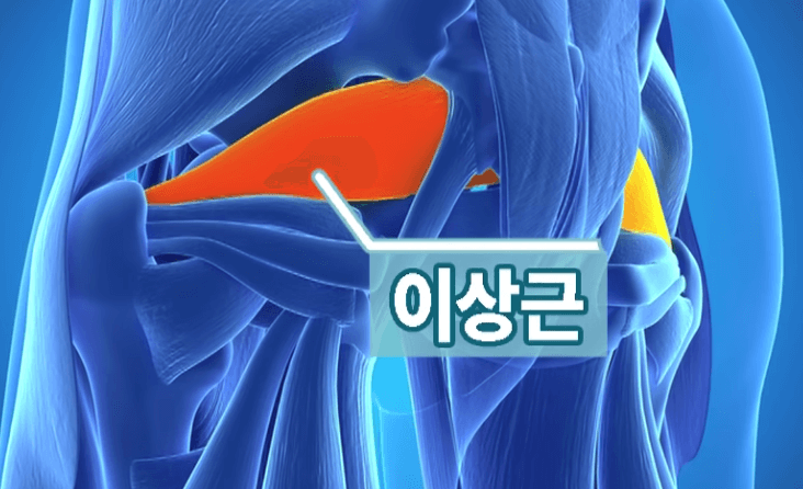 이상근2
