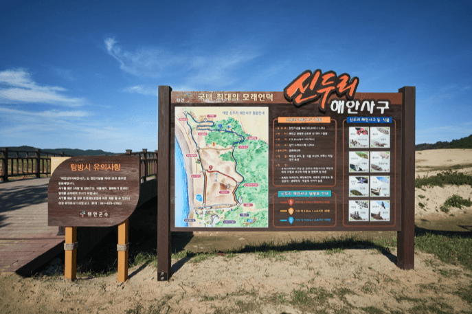 신두리해수욕장 (태안군)