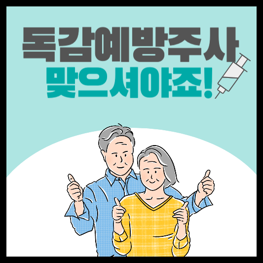 65세이상 독감예방접종