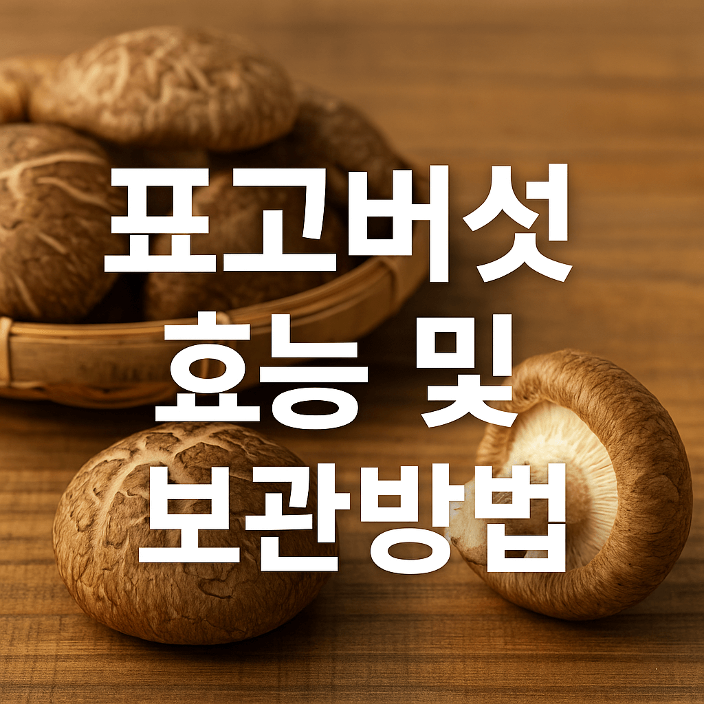 표고버섯 효능 및 보관방법
