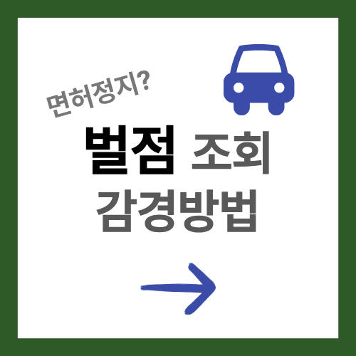 벌점 조회 없애는 감경 방법