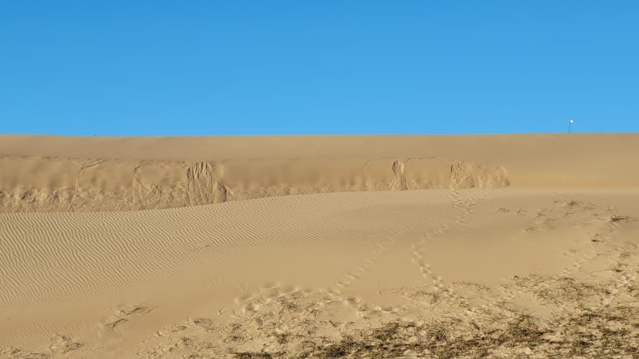 충남 태안 봄 여행지 BEST 3｜천리포수목원 목련(봄꽃)축제 주변 여행지