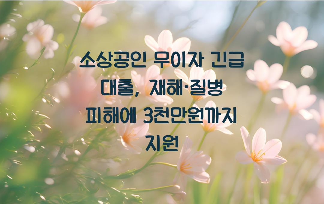 소상공인 무이자 긴급 대출, 재해·질병 피해 사업장 최대 3천만원 지원