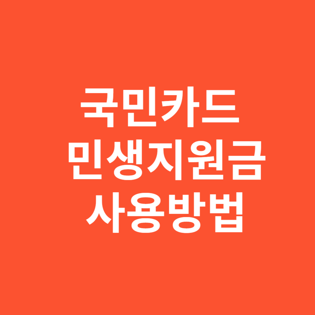 국민카드 민생지원금 사용방법