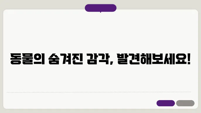 동물의 감각 기관과 정보 처리에 대한 이해