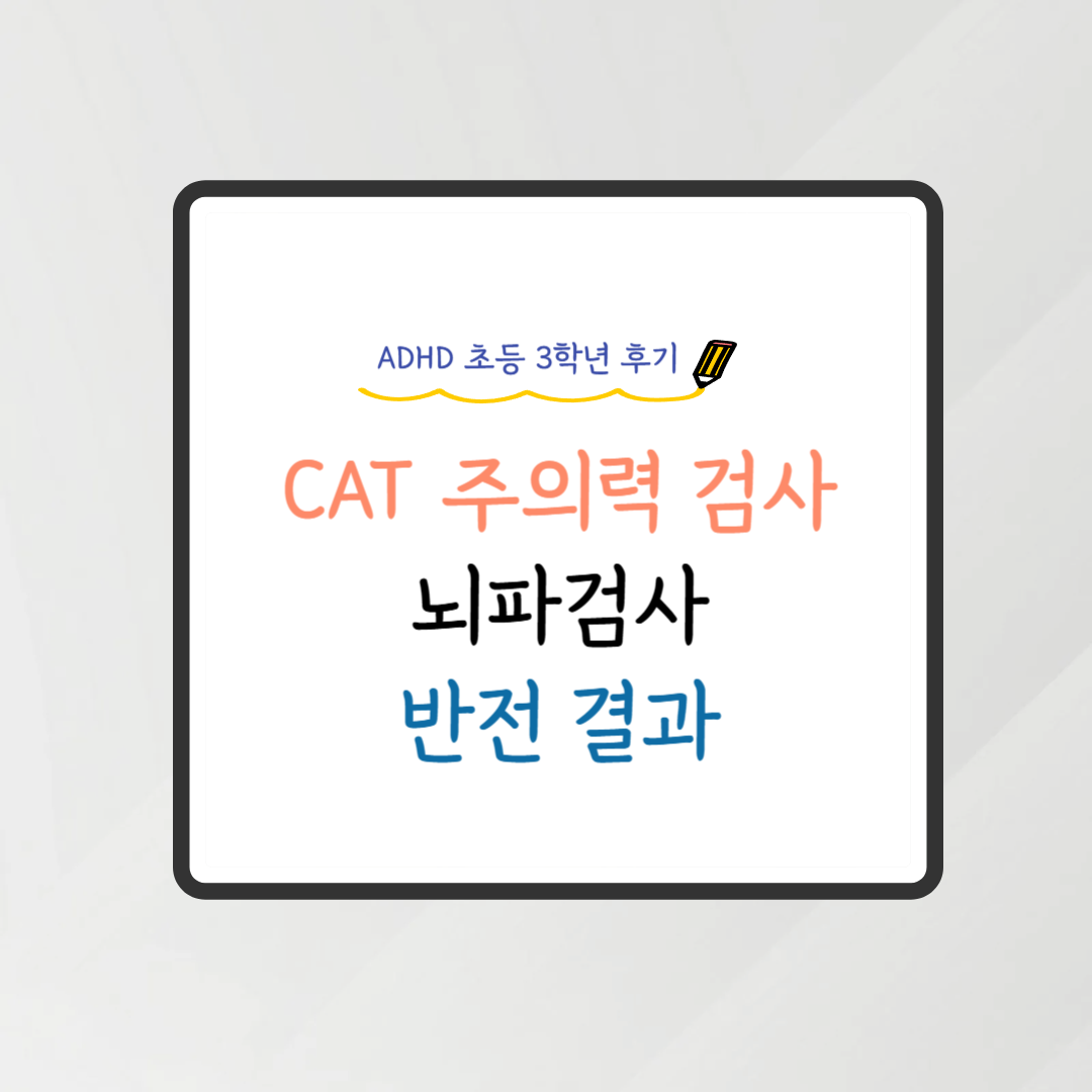 CAT검사