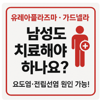 요도염 전립선염원인