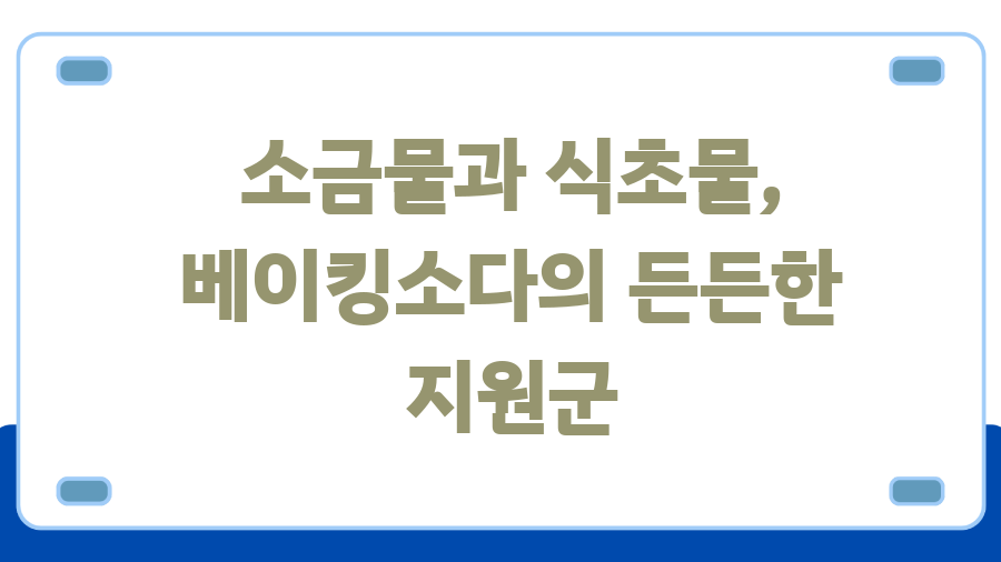 딸기, 그냥 씻으면 안돼요! 베이킹소다 세척법, 그 놀라운 효과! - 소금물과 식초물, 베이킹소다의 든든한 지원군 딸기, 그냥 씻으면 안돼요! 베이킹소다 세척법, 그 놀라운 효과! - 소금물과 식초물, 베이킹소다의 든든한 지원군