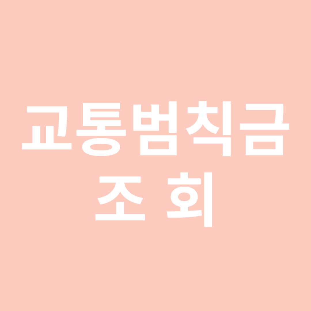교통범칙금 조회