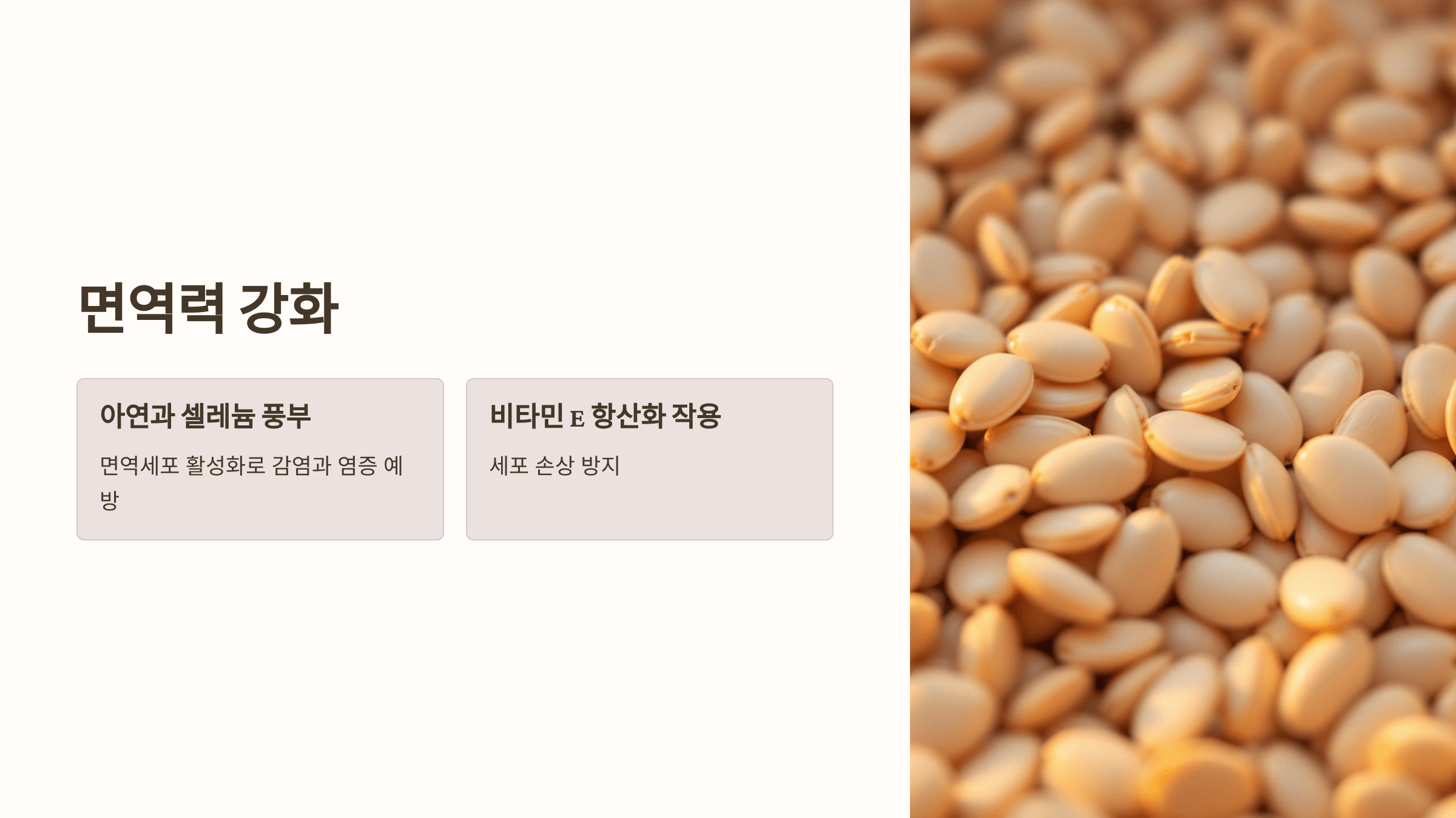 해바라기 사진입니다.