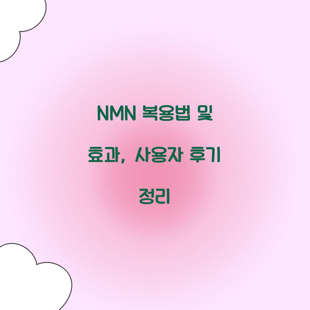 nmn 복용법