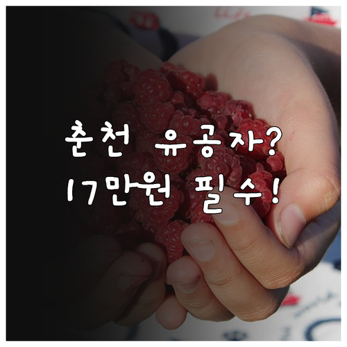 2025 춘천 국가유공자 수당 17만..