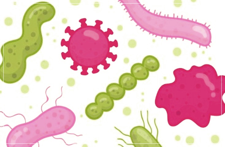 임균이란? 그리고 임질 치료방법