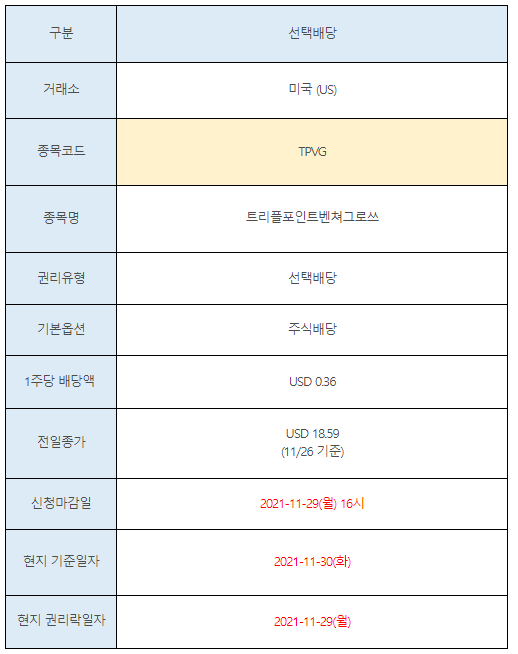 미국주식 선택배당 TPVG