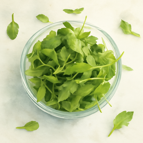 루꼴라_주요_효능