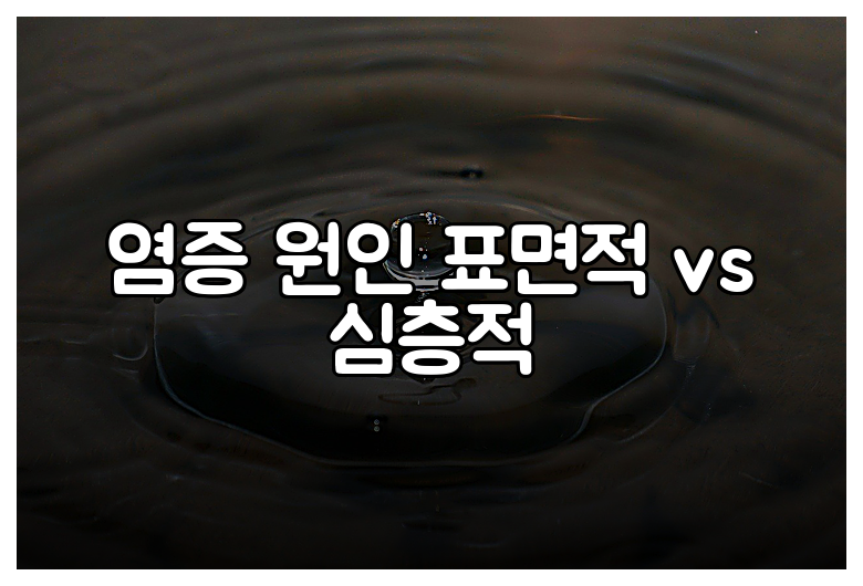 염증 원인 표면적 vs 심층적