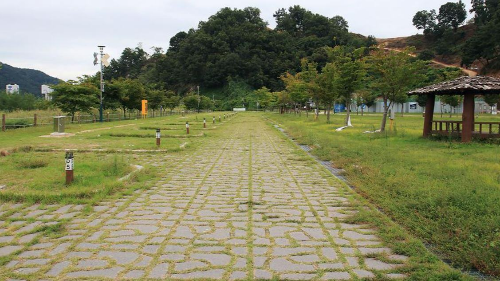 칠곡보오토캠핑장