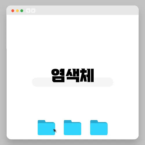 염색체
