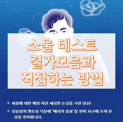 소울테스트 하는법