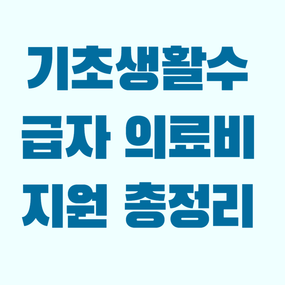 기초생활수급자 의료비지원