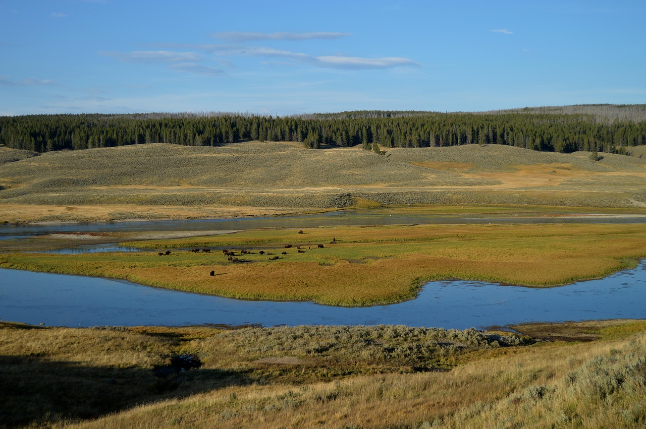 숙박세일페스타 할인권