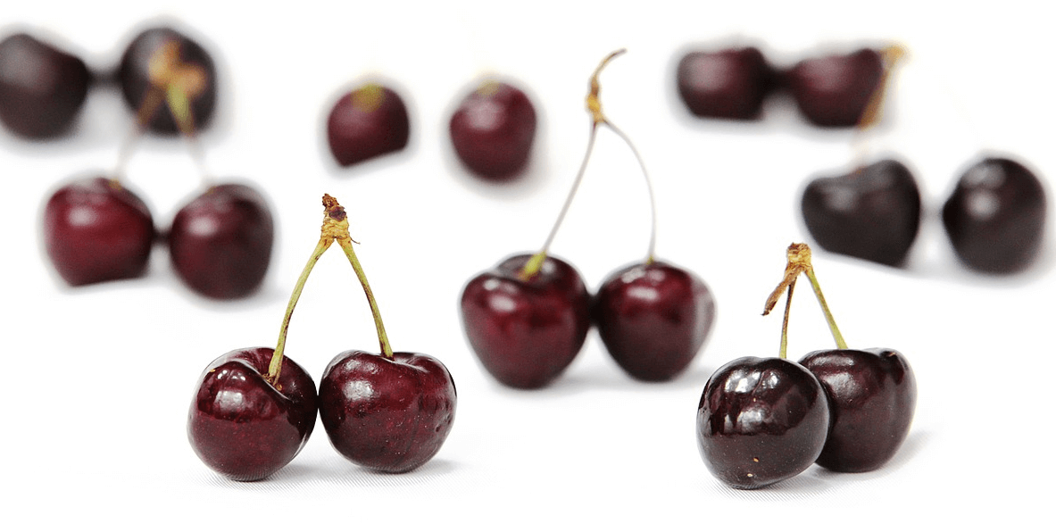 체리 사진 - 8