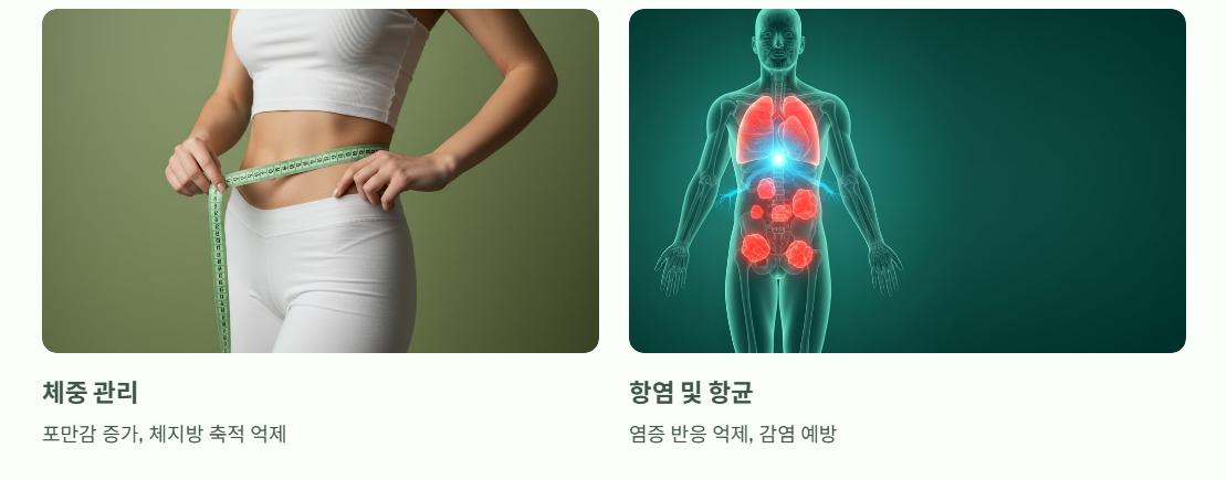 새싹보리 OA3의 주요 효능: 
 체중관리, 항염 및 향균