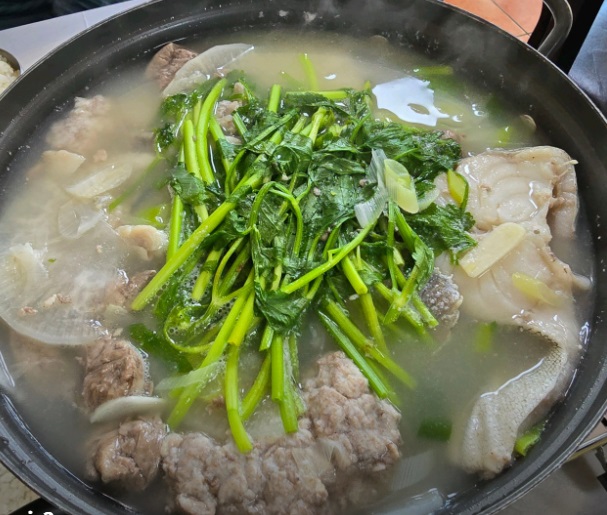 한국기행-고성-물곰-왔드래요-강동호식당
